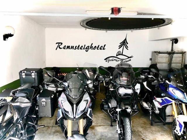 Rennsteighotel Gruener Baum Schmiedefeld am Rennsteig Ngoại thất bức ảnh