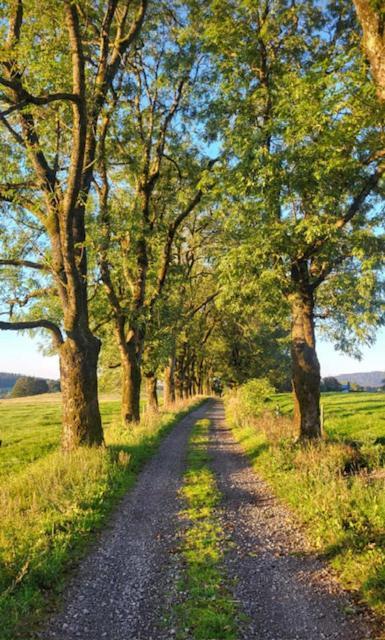 Rennsteighotel Gruener Baum Schmiedefeld am Rennsteig Ngoại thất bức ảnh